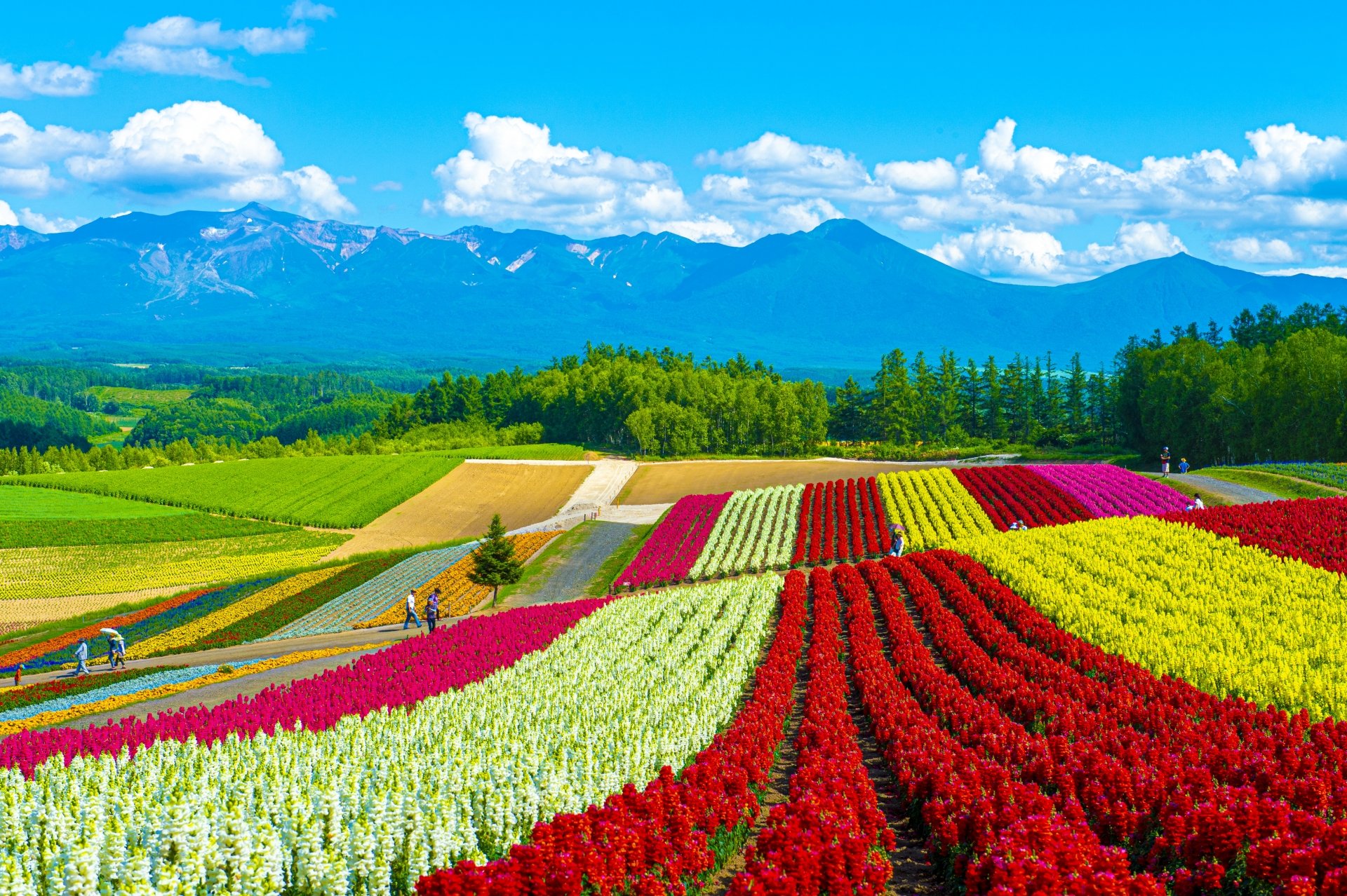 Hokkaido 1