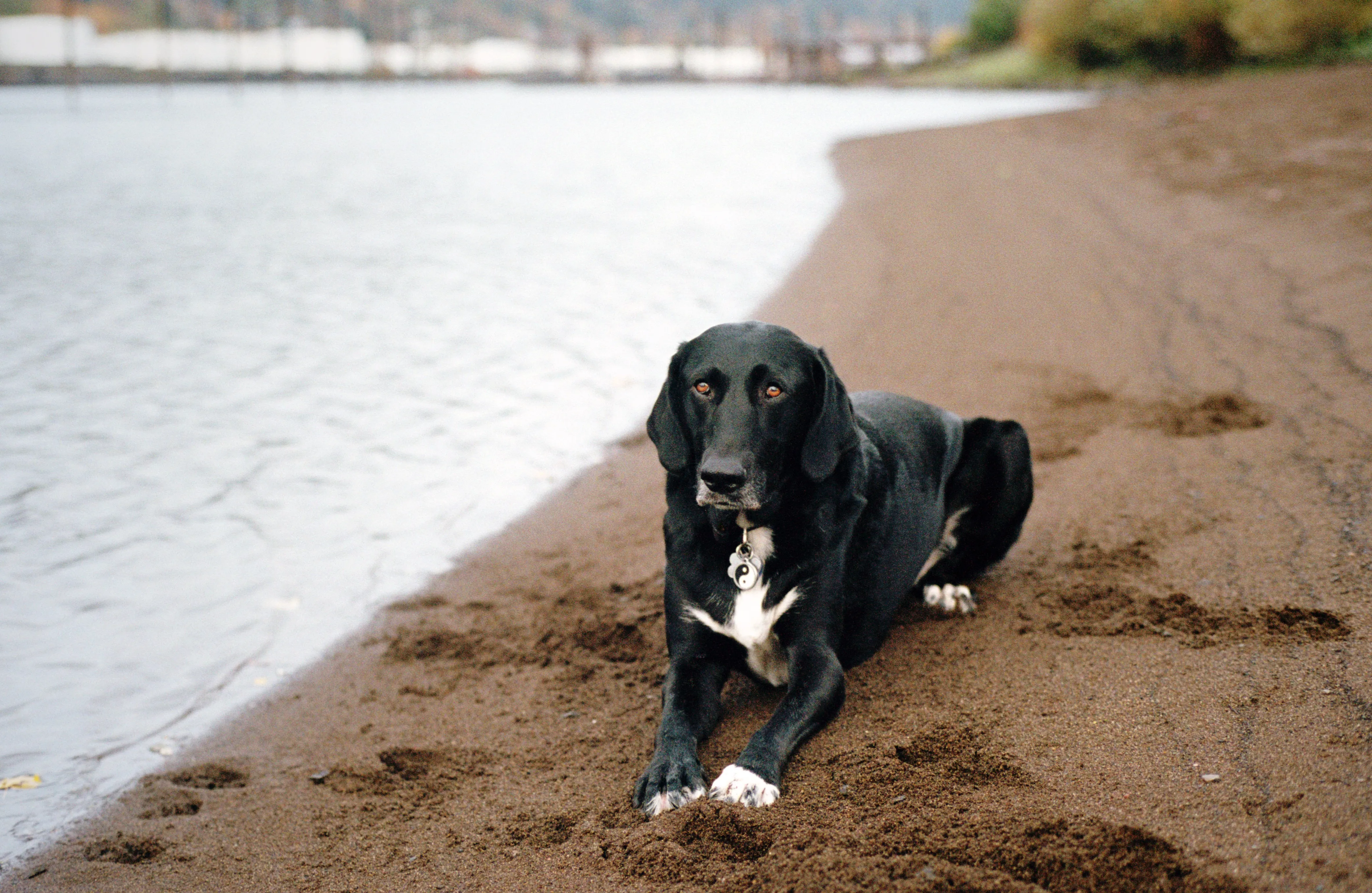 Lab Pointer 1