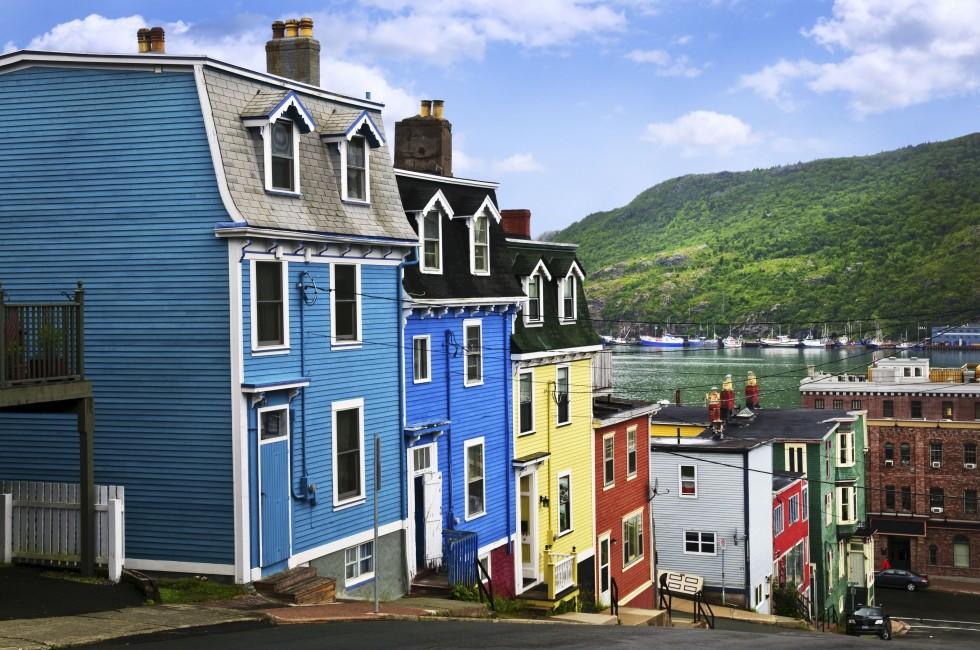 Newfoundland 3