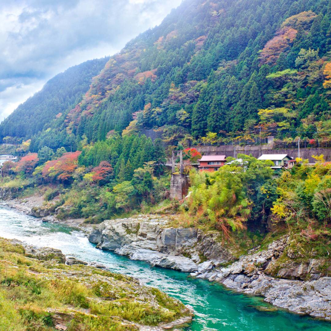 Shikoku 2